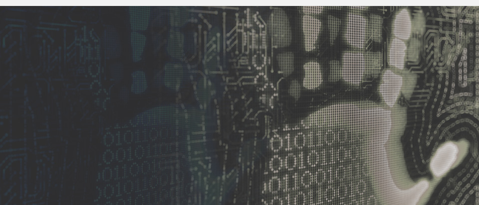 Identification & Collection. 