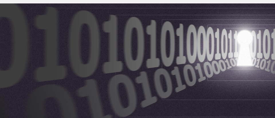 Preservation. Preserve your Internet evidence securely.